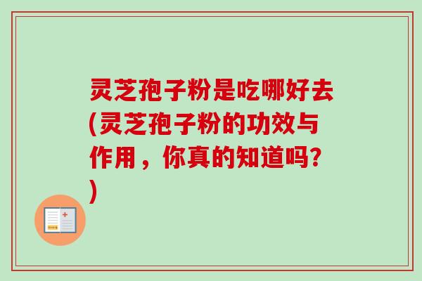 灵芝孢子粉是吃哪好去(灵芝孢子粉的功效与作用,你真的知道吗?)-第1张图片-卓越灵芝孢子粉 灵芝孢子粉是吃哪好去(灵芝孢子粉的功效与作用,你真的知道吗?)-第1张图片-卓越灵芝孢子粉