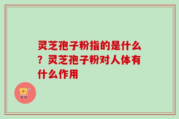 灵芝孢子粉指的是什么?灵芝孢子粉对人体有什么作用-第1张图片-卓越灵芝孢子粉 灵芝孢子粉指的是什么?灵芝孢子粉对人体有什么作用-第1张图片-卓越灵芝孢子粉