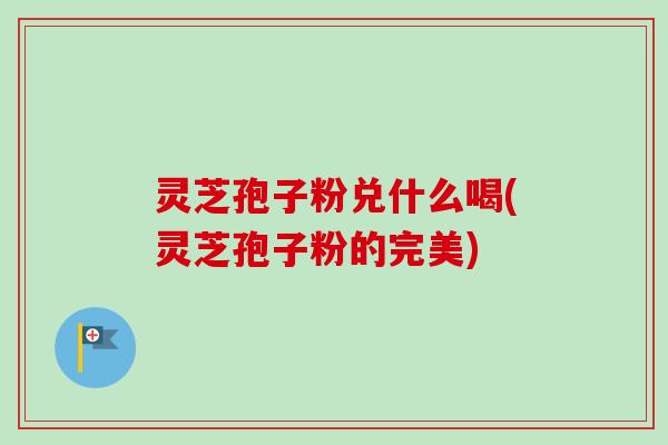 灵芝孢子粉兑什么喝(灵芝孢子粉的完美)-第1张图片-卓越灵芝孢子粉 灵芝孢子粉兑什么喝(灵芝孢子粉的完美)-第1张图片-卓越灵芝孢子粉