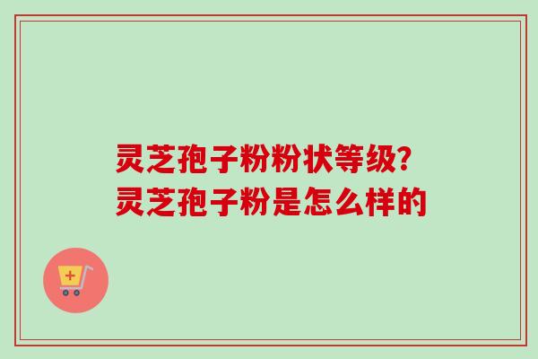 灵芝孢子粉粉状等级？灵芝孢子粉是怎么样的-第1张图片-卓越灵芝孢子粉