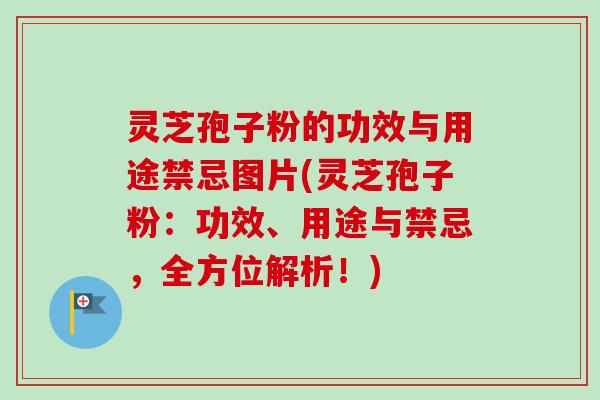 灵芝孢子粉的功效与用途禁忌图片(灵芝孢子粉:功效、用途与禁忌,全方位解析!)-第1张图片-卓越灵芝孢子粉 灵芝孢子粉的功效与用途禁忌图片(灵芝孢子粉:功效、用途与禁忌,全方位解析!)-第1张图片-卓越灵芝孢子粉