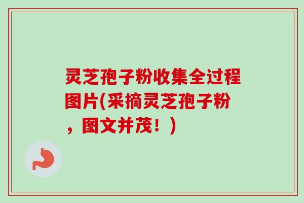 灵芝孢子粉收集全过程图片(采摘灵芝孢子粉，图文并茂！)-第1张图片-卓越灵芝孢子粉