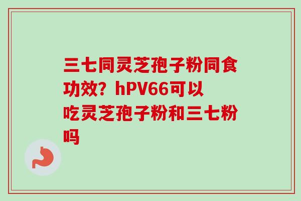 三七同灵芝孢子粉同食功效?hPV66可以吃灵芝孢子粉和三七粉吗-第1张图片-卓越灵芝孢子粉 三七同灵芝孢子粉同食功效?hPV66可以吃灵芝孢子粉和三七粉吗-第1张图片-卓越灵芝孢子粉