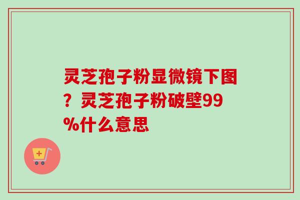 灵芝孢子粉显微镜下图?灵芝孢子粉破壁99%什么意思-第1张图片-卓越灵芝孢子粉 灵芝孢子粉显微镜下图?灵芝孢子粉破壁99%什么意思-第1张图片-卓越灵芝孢子粉