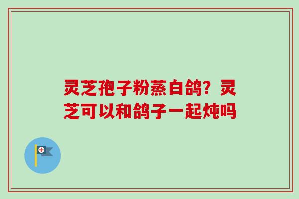 灵芝孢子粉蒸白鸽？灵芝可以和鸽子一起炖吗-第1张图片-卓越灵芝孢子粉