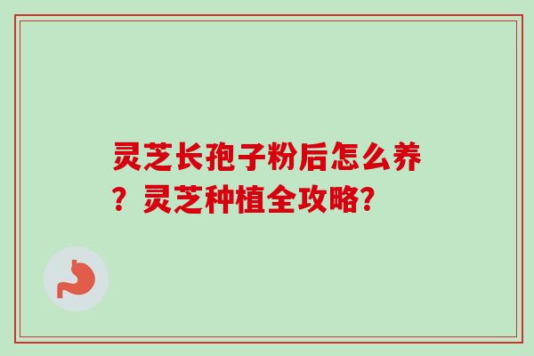 灵芝长孢子粉后怎么养？灵芝种植全攻略？-第1张图片-卓越灵芝孢子粉