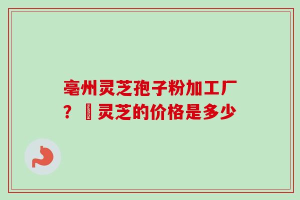 亳州灵芝孢子粉加工厂？焄灵芝的价格是多少-第1张图片-卓越灵芝孢子粉