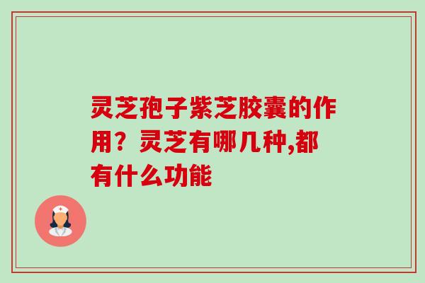 灵芝孢子紫芝胶囊的作用?灵芝有哪几种,都有什么功能-第1张图片-卓越灵芝孢子粉 灵芝孢子紫芝胶囊的作用?灵芝有哪几种,都有什么功能-第1张图片-卓越灵芝孢子粉