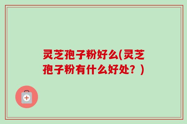 灵芝孢子粉好么(灵芝孢子粉有什么好处？)-第1张图片-卓越灵芝孢子粉