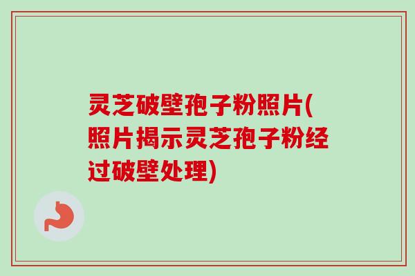 灵芝破壁孢子粉照片(照片揭示灵芝孢子粉经过破壁处理)-第1张图片-卓越灵芝孢子粉