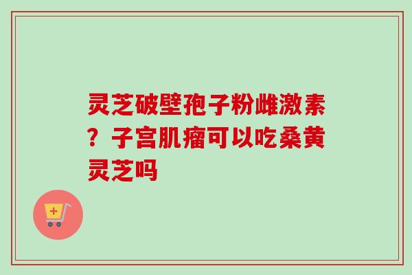 灵芝破壁孢子粉雌激素?子宫肌瘤可以吃桑黄灵芝吗-第1张图片-卓越灵芝孢子粉 灵芝破壁孢子粉雌激素?子宫肌瘤可以吃桑黄灵芝吗-第1张图片-卓越灵芝孢子粉
