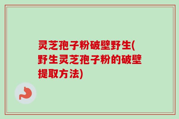 灵芝孢子粉破壁野生(野生灵芝孢子粉的破壁提取方法)-第1张图片-卓越灵芝孢子粉