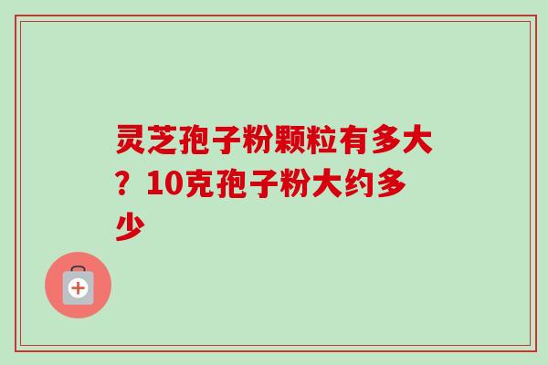 灵芝孢子粉颗粒有多大？10克孢子粉大约多少-第1张图片-卓越灵芝孢子粉