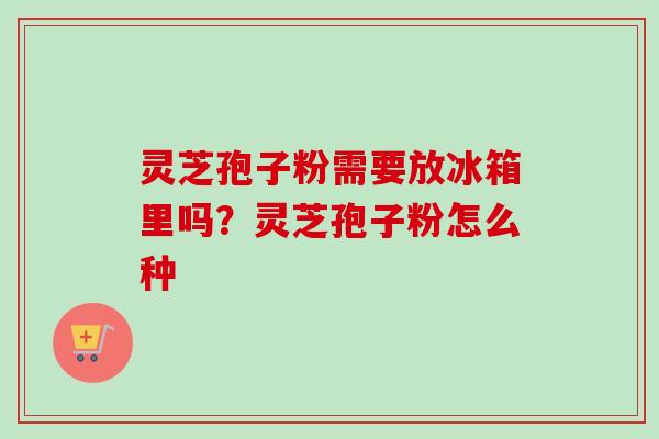 灵芝孢子粉需要放冰箱里吗?灵芝孢子粉怎么种-第1张图片-卓越灵芝孢子粉 灵芝孢子粉需要放冰箱里吗?灵芝孢子粉怎么种-第1张图片-卓越灵芝孢子粉