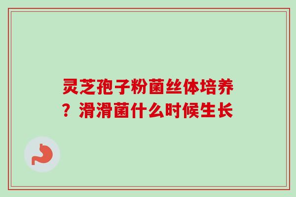 灵芝孢子粉菌丝体培养?滑滑菌什么时候生长-第1张图片-卓越灵芝孢子粉 灵芝孢子粉菌丝体培养?滑滑菌什么时候生长-第1张图片-卓越灵芝孢子粉