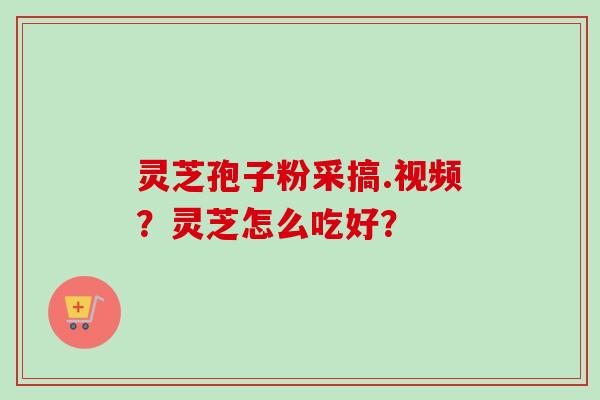 灵芝孢子粉采搞.视频?灵芝怎么吃好?-第1张图片-卓越灵芝孢子粉 灵芝孢子粉采搞.视频?灵芝怎么吃好?-第1张图片-卓越灵芝孢子粉
