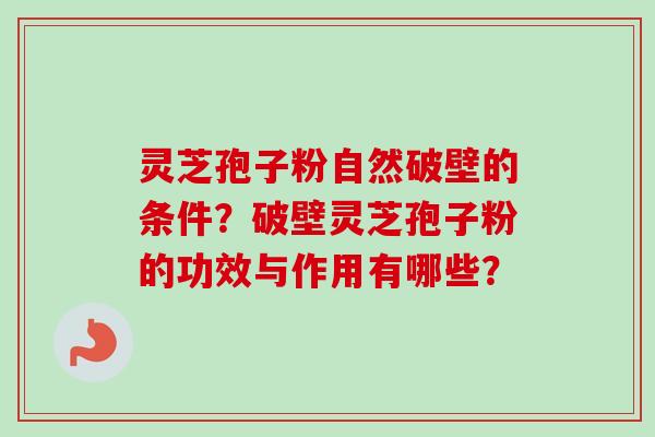 灵芝孢子粉自然破壁的条件?破壁灵芝孢子粉的功效与作用有哪些?-第1张图片-卓越灵芝孢子粉 灵芝孢子粉自然破壁的条件?破壁灵芝孢子粉的功效与作用有哪些?-第1张图片-卓越灵芝孢子粉