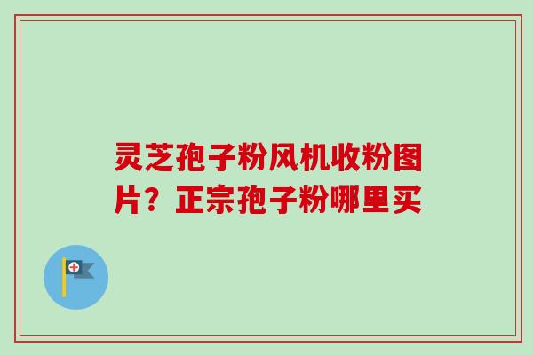 灵芝孢子粉风机收粉图片?正宗孢子粉哪里买-第1张图片-卓越灵芝孢子粉 灵芝孢子粉风机收粉图片?正宗孢子粉哪里买-第1张图片-卓越灵芝孢子粉