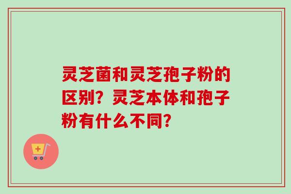 灵芝菌和灵芝孢子粉的区别？灵芝本体和孢子粉有什么不同？-第1张图片-卓越灵芝孢子粉