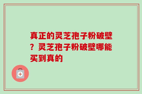 真正的灵芝孢子粉破壁？灵芝孢子粉破壁哪能买到真的-第1张图片-卓越灵芝孢子粉
