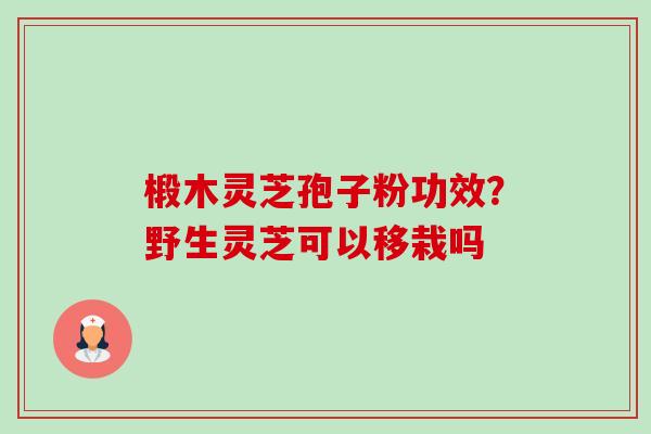 椴木灵芝孢子粉功效？野生灵芝可以移栽吗-第1张图片-卓越灵芝孢子粉