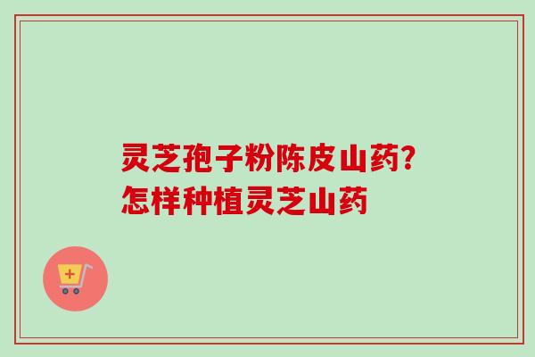 灵芝孢子粉陈皮山药？怎样种植灵芝山药-第1张图片-卓越灵芝孢子粉