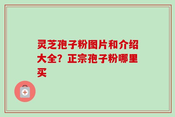 灵芝孢子粉图片和介绍大全？正宗孢子粉哪里买-第1张图片-卓越灵芝孢子粉