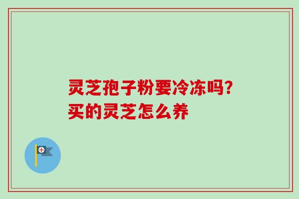 灵芝孢子粉要冷冻吗?买的灵芝怎么养-第1张图片-卓越灵芝孢子粉 灵芝孢子粉要冷冻吗?买的灵芝怎么养-第1张图片-卓越灵芝孢子粉