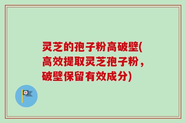 灵芝的孢子粉高破壁(高效提取灵芝孢子粉,破壁保留有效成分)-第1张图片-卓越灵芝孢子粉 灵芝的孢子粉高破壁(高效提取灵芝孢子粉,破壁保留有效成分)-第1张图片-卓越灵芝孢子粉