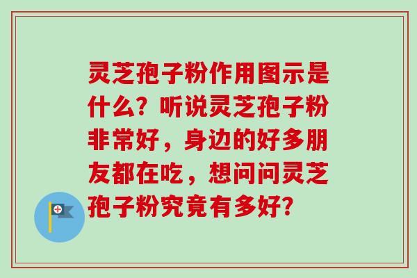 灵芝孢子粉作用图示是什么？听说灵芝孢子粉非常好，身边的好多朋友都在吃，想问问灵芝孢子粉究竟有多好？-第1张图片-卓越灵芝孢子粉