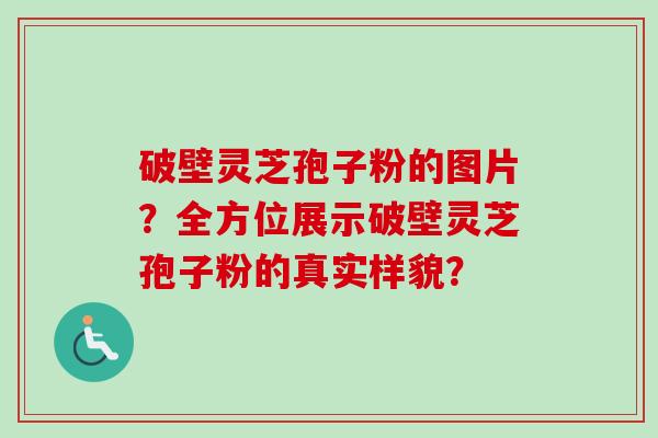 破壁灵芝孢子粉的图片?全方位展示破壁灵芝孢子粉的真实样貌?-第1张图片-卓越灵芝孢子粉 破壁灵芝孢子粉的图片?全方位展示破壁灵芝孢子粉的真实样貌?-第1张图片-卓越灵芝孢子粉