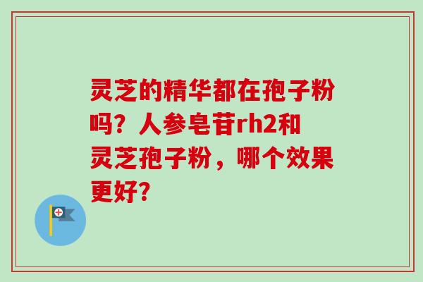 灵芝的精华都在孢子粉吗?人参皂苷rh2和灵芝孢子粉,哪个效果更好?-第1张图片-卓越灵芝孢子粉 灵芝的精华都在孢子粉吗?人参皂苷rh2和灵芝孢子粉,哪个效果更好?-第1张图片-卓越灵芝孢子粉