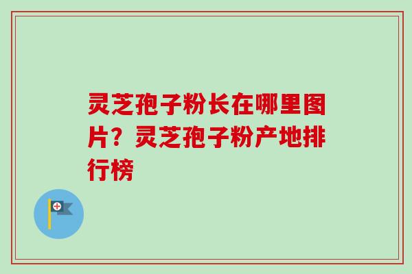 灵芝孢子粉长在哪里图片?灵芝孢子粉产地排行榜-第1张图片-卓越灵芝孢子粉 灵芝孢子粉长在哪里图片?灵芝孢子粉产地排行榜-第1张图片-卓越灵芝孢子粉