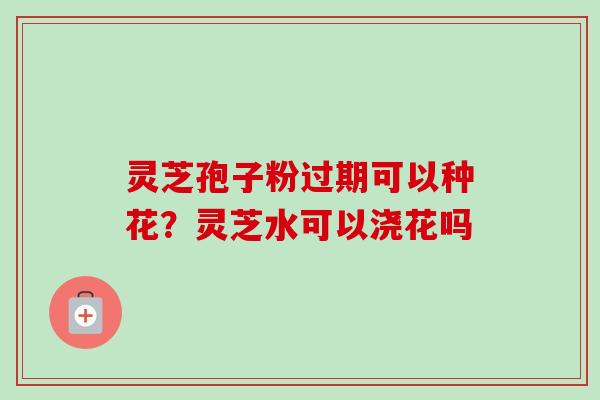 灵芝孢子粉过期可以种花?灵芝水可以浇花吗-第1张图片-卓越灵芝孢子粉 灵芝孢子粉过期可以种花?灵芝水可以浇花吗-第1张图片-卓越灵芝孢子粉