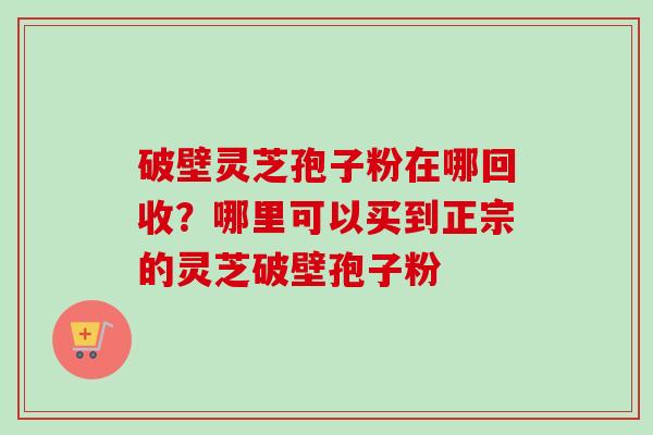 破壁灵芝孢子粉在哪回收？哪里可以买到正宗的灵芝破壁孢子粉-第1张图片-卓越灵芝孢子粉