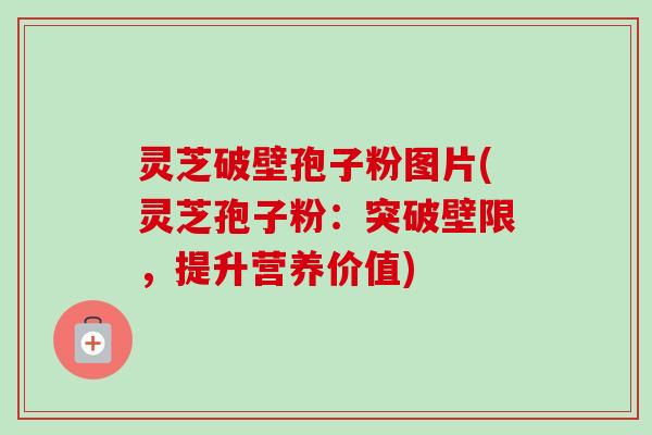 灵芝破壁孢子粉图片(灵芝孢子粉:突破壁限,提升营养价值)-第1张图片-卓越灵芝孢子粉 灵芝破壁孢子粉图片(灵芝孢子粉:突破壁限,提升营养价值)-第1张图片-卓越灵芝孢子粉
