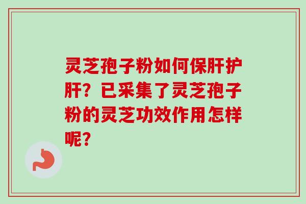 灵芝孢子粉如何保肝护肝?已采集了灵芝孢子粉的灵芝功效作用怎样呢?-第1张图片-卓越灵芝孢子粉 灵芝孢子粉如何保肝护肝?已采集了灵芝孢子粉的灵芝功效作用怎样呢?-第1张图片-卓越灵芝孢子粉