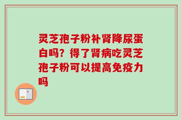 灵芝孢子粉补肾降尿蛋白吗?得了肾病吃灵芝孢子粉可以提高免疫力吗-第1张图片-卓越灵芝孢子粉 灵芝孢子粉补肾降尿蛋白吗?得了肾病吃灵芝孢子粉可以提高免疫力吗-第1张图片-卓越灵芝孢子粉