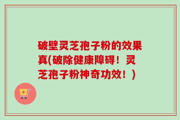 破壁灵芝孢子粉的效果真(破除健康障碍!灵芝孢子粉神奇功效!)-第1张图片-卓越灵芝孢子粉 破壁灵芝孢子粉的效果真(破除健康障碍!灵芝孢子粉神奇功效!)-第1张图片-卓越灵芝孢子粉