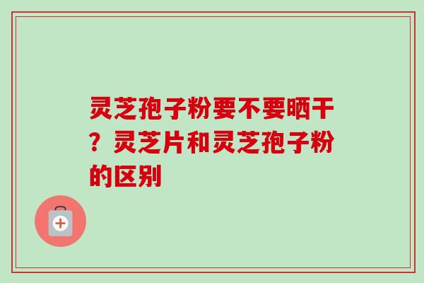 灵芝孢子粉要不要晒干?灵芝片和灵芝孢子粉的区别-第1张图片-卓越灵芝孢子粉 灵芝孢子粉要不要晒干?灵芝片和灵芝孢子粉的区别-第1张图片-卓越灵芝孢子粉