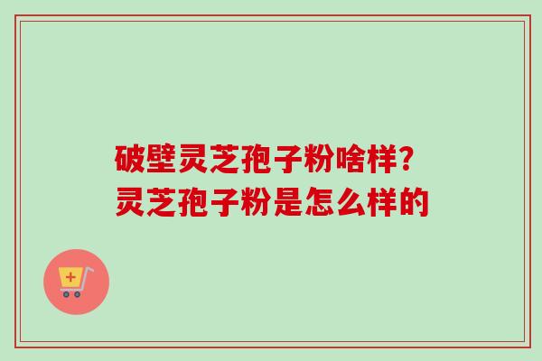 破壁灵芝孢子粉啥样?灵芝孢子粉是怎么样的-第1张图片-卓越灵芝孢子粉 破壁灵芝孢子粉啥样?灵芝孢子粉是怎么样的-第1张图片-卓越灵芝孢子粉