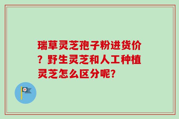 瑞草灵芝孢子粉进货价?野生灵芝和人工种植灵芝怎么区分呢?-第1张图片-卓越灵芝孢子粉 瑞草灵芝孢子粉进货价?野生灵芝和人工种植灵芝怎么区分呢?-第1张图片-卓越灵芝孢子粉