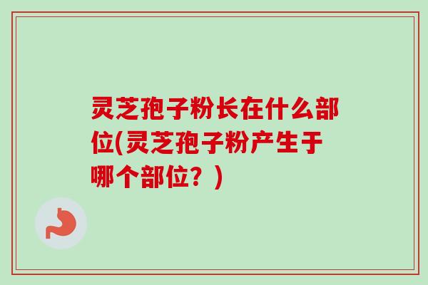 灵芝孢子粉长在什么部位(灵芝孢子粉产生于哪个部位?)-第1张图片-卓越灵芝孢子粉 灵芝孢子粉长在什么部位(灵芝孢子粉产生于哪个部位?)-第1张图片-卓越灵芝孢子粉