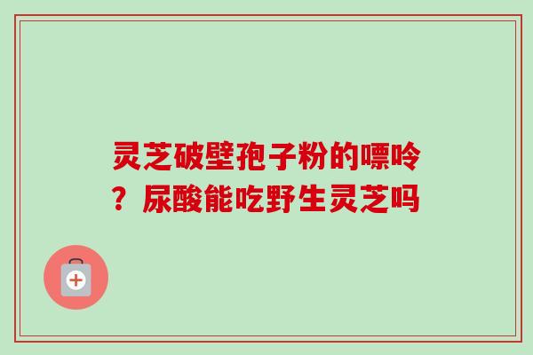 灵芝破壁孢子粉的嘌呤?尿酸能吃野生灵芝吗-第1张图片-卓越灵芝孢子粉 灵芝破壁孢子粉的嘌呤?尿酸能吃野生灵芝吗-第1张图片-卓越灵芝孢子粉