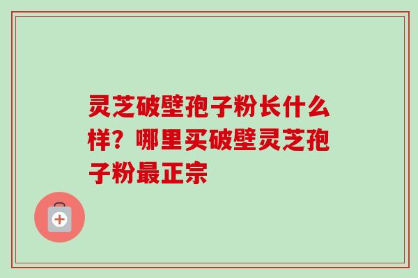 灵芝破壁孢子粉长什么样?哪里买破壁灵芝孢子粉最正宗-第1张图片-卓越灵芝孢子粉 灵芝破壁孢子粉长什么样?哪里买破壁灵芝孢子粉最正宗-第1张图片-卓越灵芝孢子粉