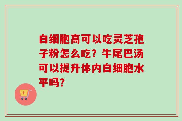 白细胞高可以吃灵芝孢子粉怎么吃?牛尾巴汤可以提升体内白细胞水平吗?-第1张图片-卓越灵芝孢子粉 白细胞高可以吃灵芝孢子粉怎么吃?牛尾巴汤可以提升体内白细胞水平吗?-第1张图片-卓越灵芝孢子粉