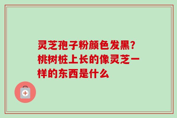 灵芝孢子粉颜色发黑?桃树桩上长的像灵芝一样的东西是什么-第1张图片-卓越灵芝孢子粉 灵芝孢子粉颜色发黑?桃树桩上长的像灵芝一样的东西是什么-第1张图片-卓越灵芝孢子粉