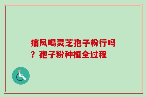 痛风喝灵芝孢子粉行吗？孢子粉种植全过程-第1张图片-卓越灵芝孢子粉