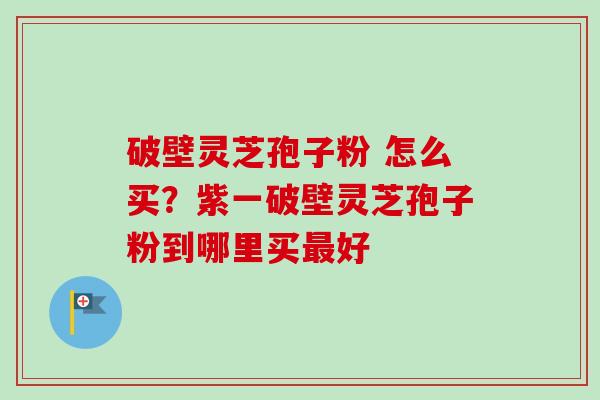 破壁灵芝孢子粉 怎么买?紫一破壁灵芝孢子粉到哪里买最好-第1张图片-卓越灵芝孢子粉 破壁灵芝孢子粉 怎么买?紫一破壁灵芝孢子粉到哪里买最好-第1张图片-卓越灵芝孢子粉