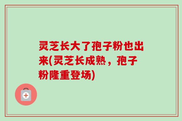 灵芝长大了孢子粉也出来(灵芝长成熟，孢子粉隆重登场)-第1张图片-卓越灵芝孢子粉
